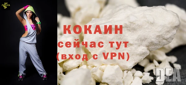 стаф Абинск