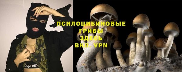 прущие грибы Абаза