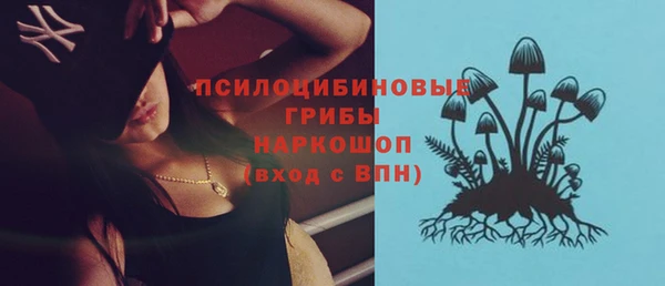 прущие грибы Абаза