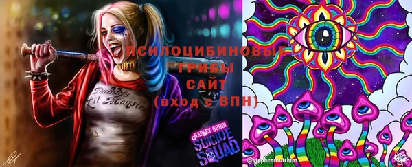 прущие грибы Абаза
