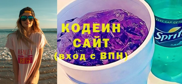 прущие грибы Абаза