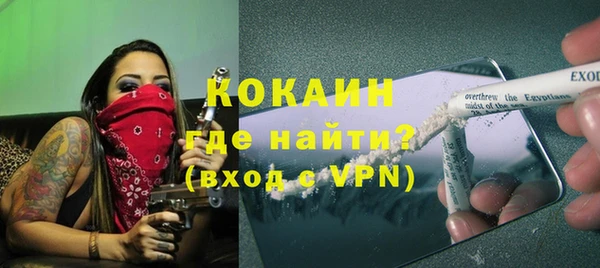 прущие грибы Абаза