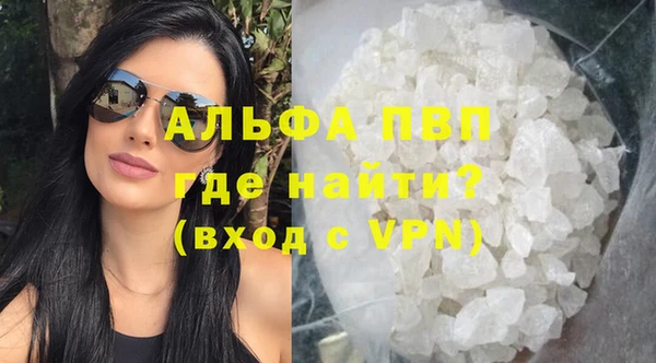 стаф Абинск